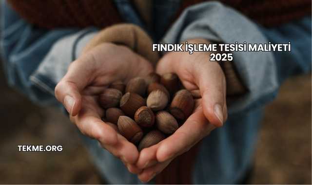 Fındık İşleme Tesisi Maliyeti 2025