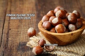 Fındık İşleme Tesisi Maliyeti 2025