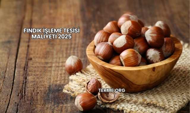 Fındık İşleme Tesisi Maliyeti 2025