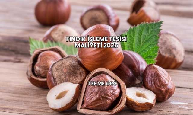 Fındık İşleme Tesisi Maliyeti 2025