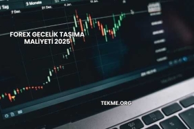 Forex Gecelik Taşıma Maliyeti 2025