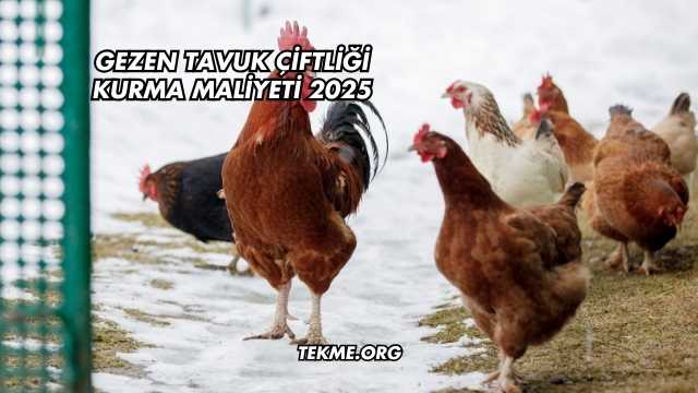 Gezen Tavuk Çiftliği Kurma Maliyeti 2025