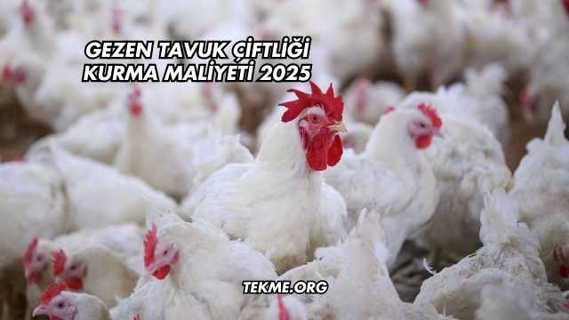 Gezen Tavuk Çiftliği Kurma Maliyeti 2025