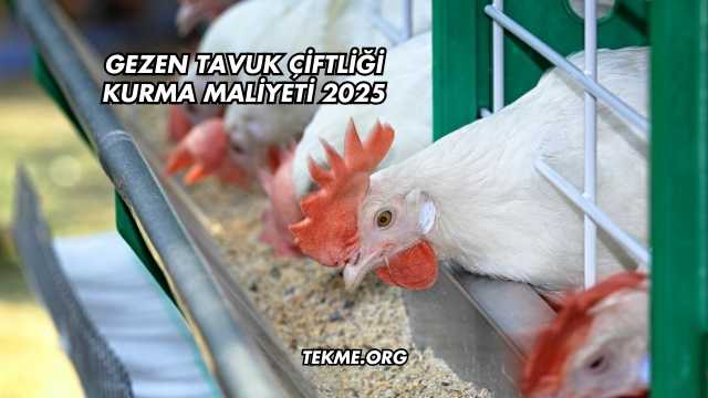 Gezen Tavuk Çiftliği Kurma Maliyeti 2025