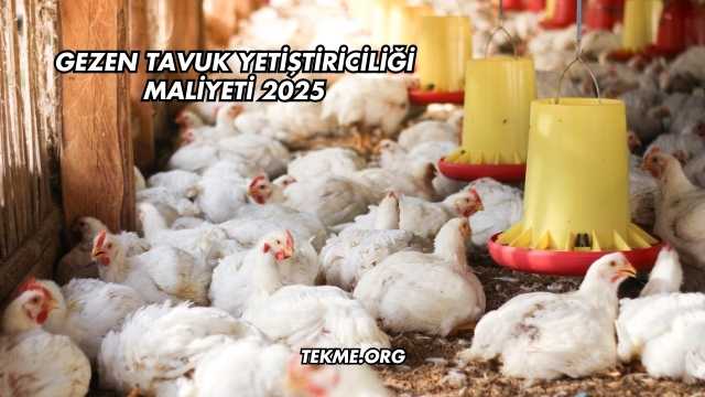 Gezen Tavuk Yetiştiriciliği Maliyeti 2025