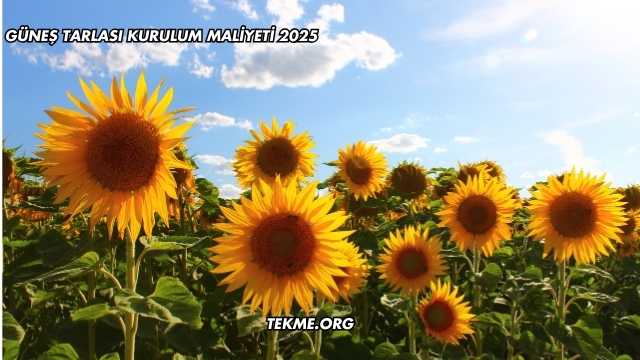 Güneş Tarlası Kurulum Maliyeti 2025
