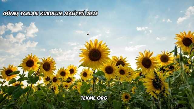 Güneş Tarlası Kurulum Maliyeti 2025