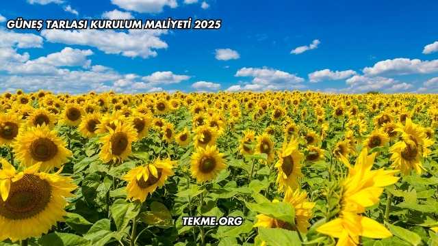 Güneş Tarlası Kurulum Maliyeti 2025