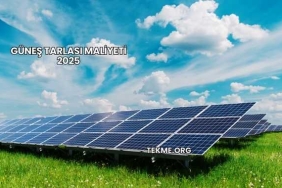 Güneş Tarlası Maliyeti 2025