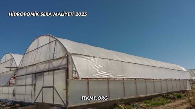 Hidroponik Sera Maliyeti 2025
