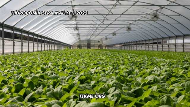 Hidroponik Sera Maliyeti 2025