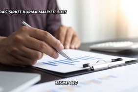 Karadağ Şirket Kurma Maliyeti 2025