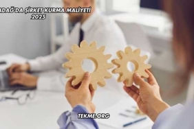 Karadağ'da Şirket Kurma Maliyeti 2025