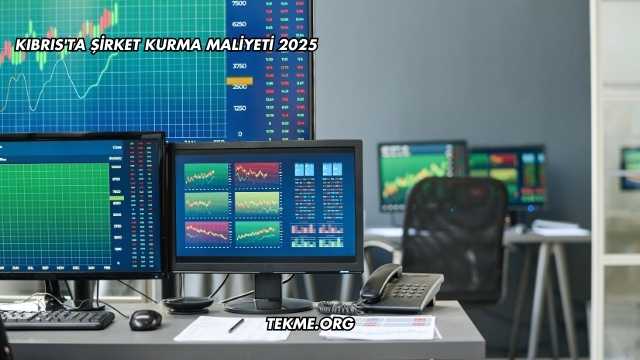 Kıbrıs'ta Şirket Kurma Maliyeti 2025