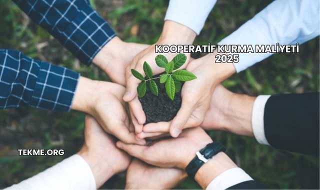 Kooperatif Kurma Maliyeti 2025