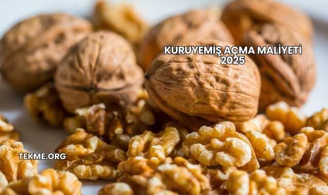 Kuruyemiş Açma Maliyeti 2025