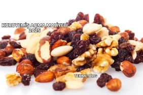 Kuruyemiş Açma Maliyeti 2025