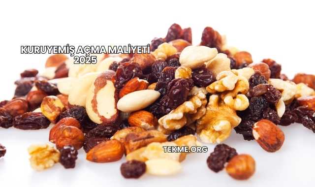 Kuruyemiş Açma Maliyeti 2025