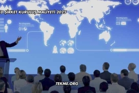 Limited Şirket Kuruluş Maliyeti 2025