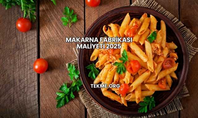 Makarna Fabrikası Maliyeti 2025