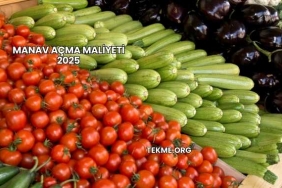 Manav Açma Maliyeti 2025