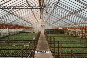 Mantar Serası Kurulum Maliyeti 2025