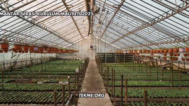 Mantar Serası Kurulum Maliyeti 2025