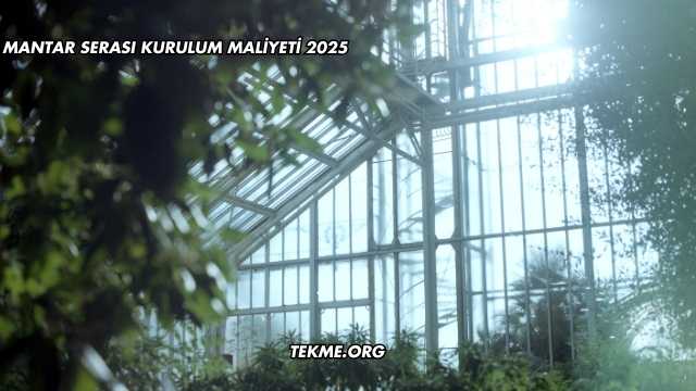 Mantar Serası Kurulum Maliyeti 2025