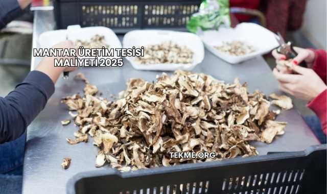 Mantar Üretim Tesisi Maliyeti 2025