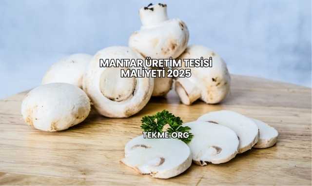 Mantar Üretim Tesisi Maliyeti 2025