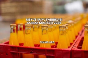 Meyve Suyu Fabrikası Kurma Maliyeti 2025