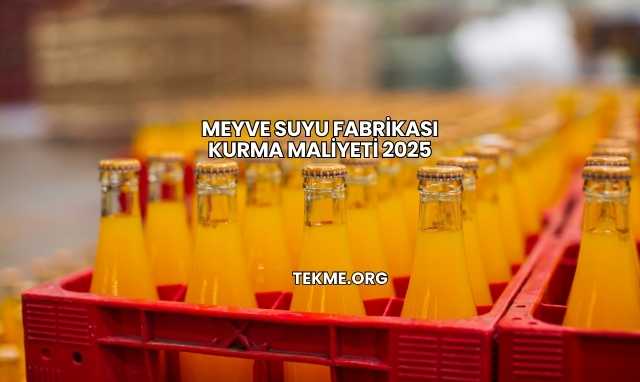 Meyve Suyu Fabrikası Kurma Maliyeti 2025