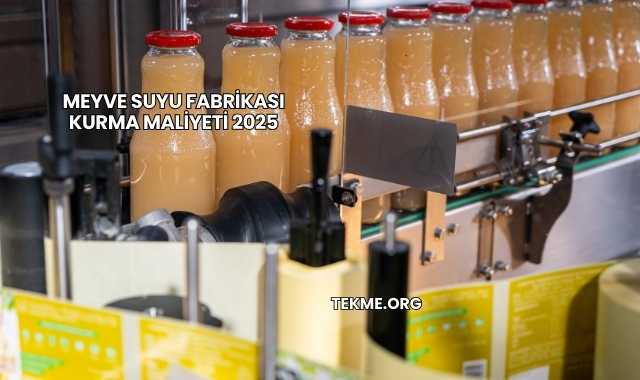 Meyve Suyu Fabrikası Kurma Maliyeti 2025