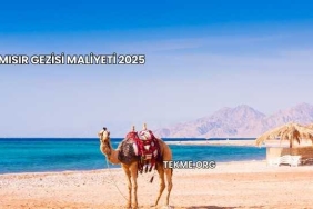 Mısır Gezisi Maliyeti 2025