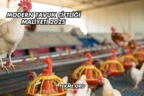 Modern Tavuk Çiftliği Maliyeti 2025