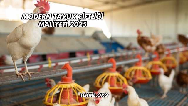Modern Tavuk Çiftliği Maliyeti 2025