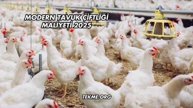 Modern Tavuk Çiftliği Maliyeti 2025