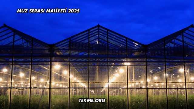 Muz Serası Maliyeti 2025