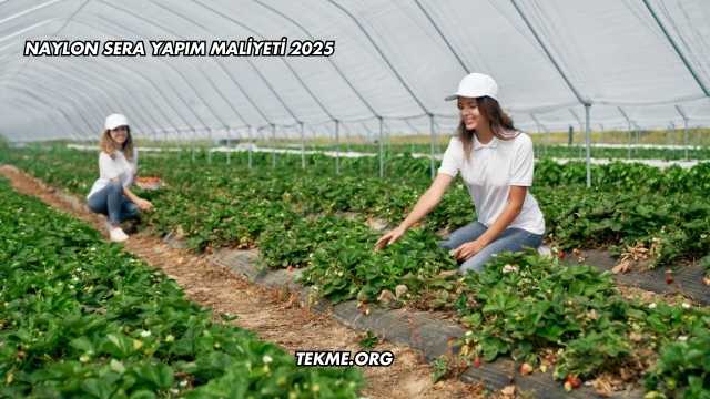 Naylon Sera Yapım Maliyeti 2025