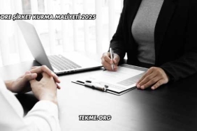 Offshore Şirket Kurma Maliyeti 2025