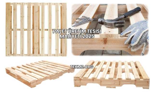Palet Üretim Tesisi Maliyeti 2025