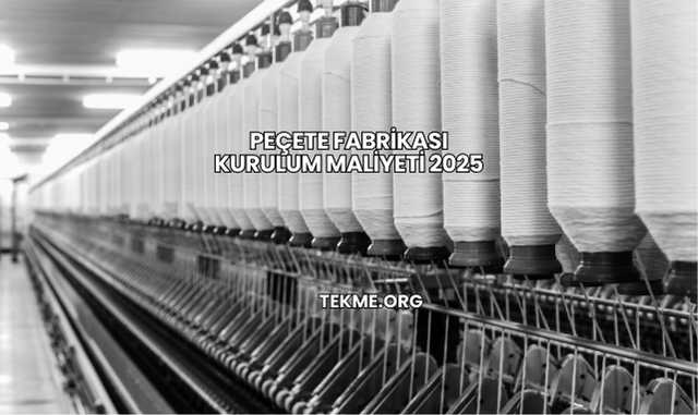 Peçete Fabrikası Kurulum Maliyeti 2025
