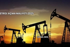 Petrol Açma Maliyeti 2025