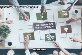 Şahıs Şirketinin Yıllık Maliyeti 2025