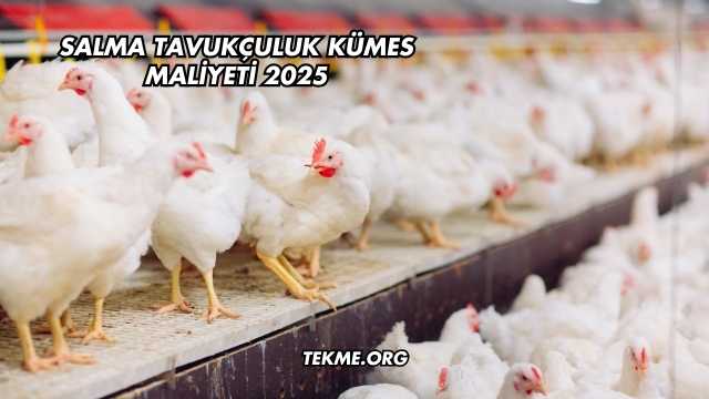 Salma Tavukçuluk Kümes Maliyeti 2025