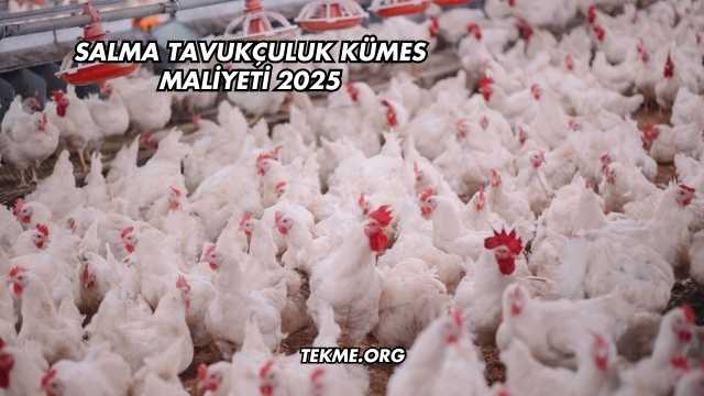 Salma Tavukçuluk Kümes Maliyeti 2025