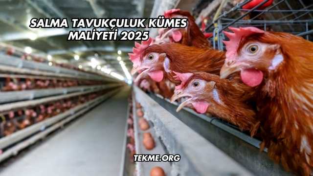 Salma Tavukçuluk Kümes Maliyeti 2025