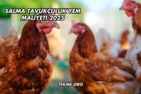 Salma Tavukçuluk Yem Maliyeti 2025
