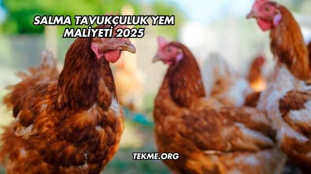 Salma Tavukçuluk Yem Maliyeti 2025