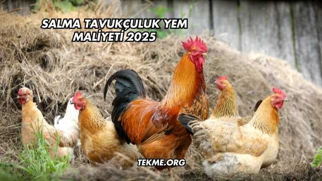 Salma Tavukçuluk Yem Maliyeti 2025